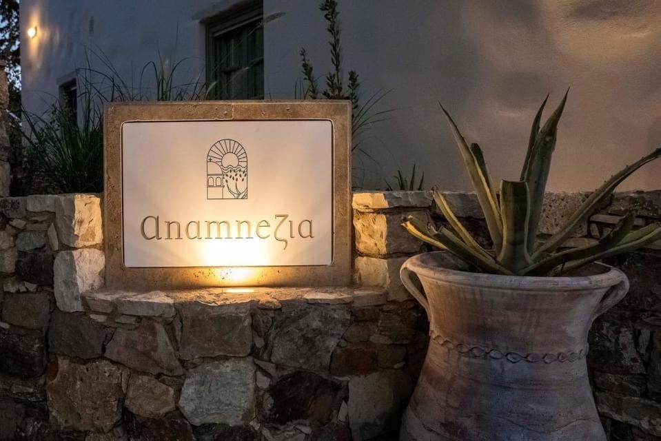 Anamnezia Luxury Suites (Adults Only) Agios Dimitrios  المظهر الخارجي الصورة