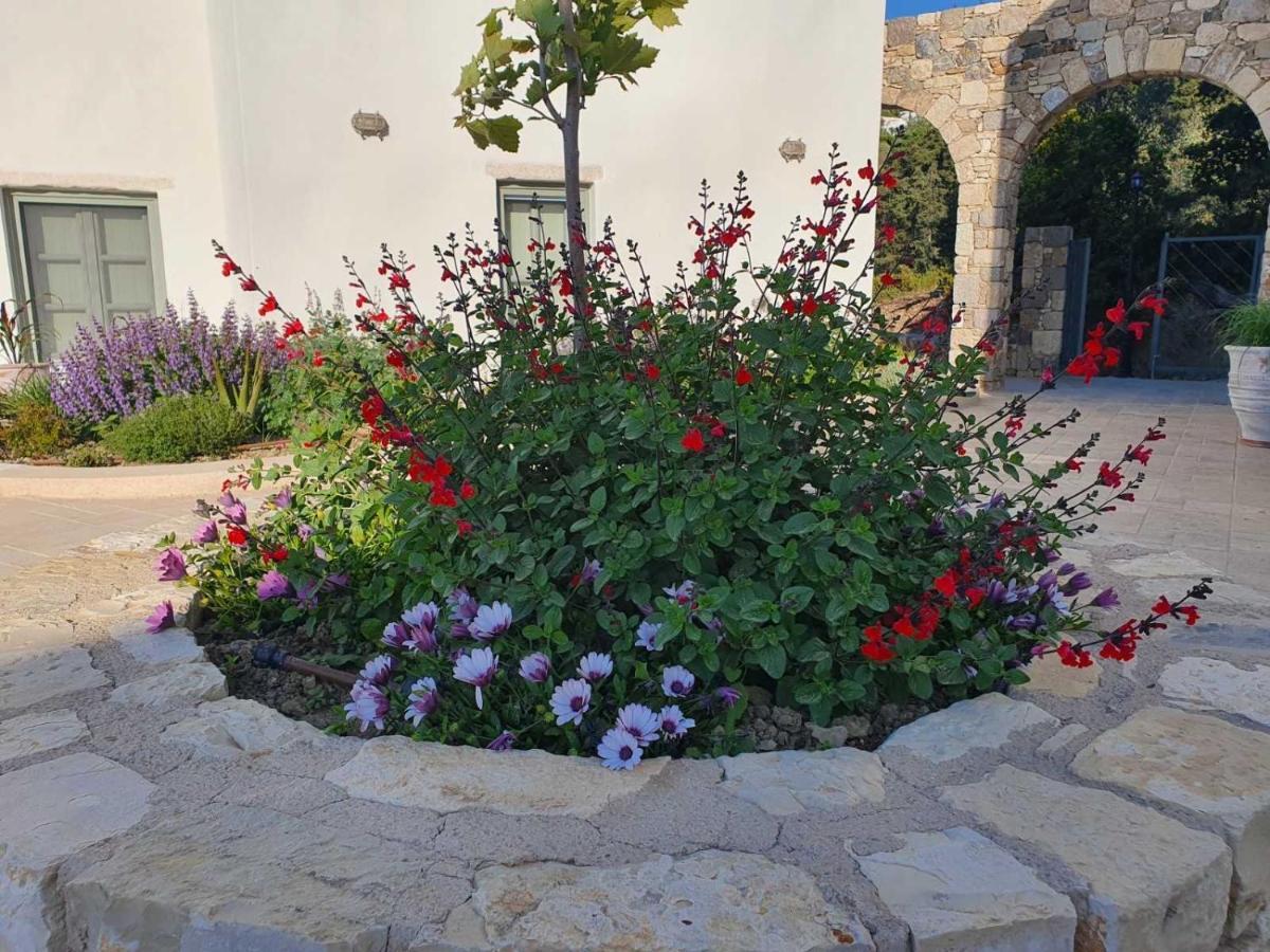 Anamnezia Luxury Suites (Adults Only) Agios Dimitrios  المظهر الخارجي الصورة